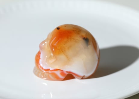 【陰陽統合】サードニクス スカル