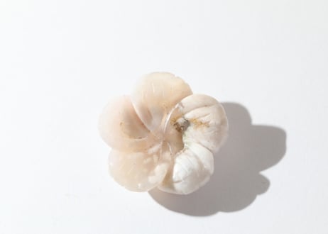 【abundance】チェリーブロッサムアゲート 花