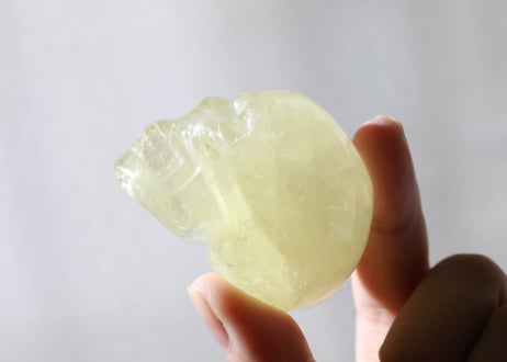 【空海の大技入り！】シトリン スカル ※イベントクーポン使用不可