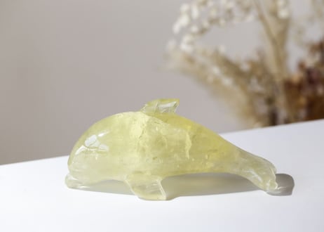 【シリウスの芸術】ナチュラルシトリン シリウスのイルカ