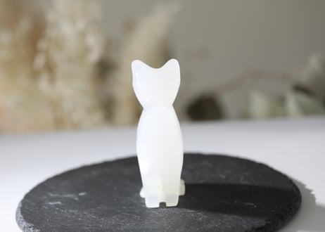 【社を守る猫】ホワイトカルサイト ねこ