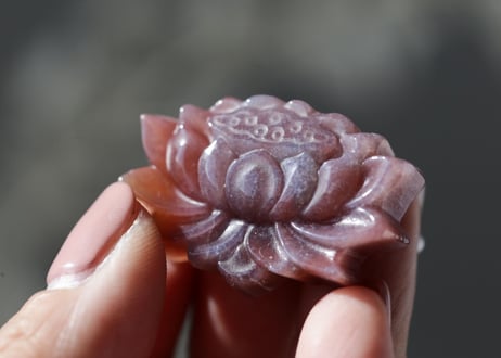 オーシャンジャスパー 蓮の花　【愛】
