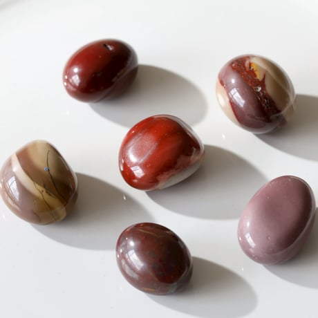 ムーカイトジャスパー | STORES