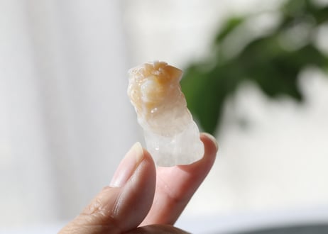 【悟りのシッディ入り】チェリーブロッサムアゲート ライオン