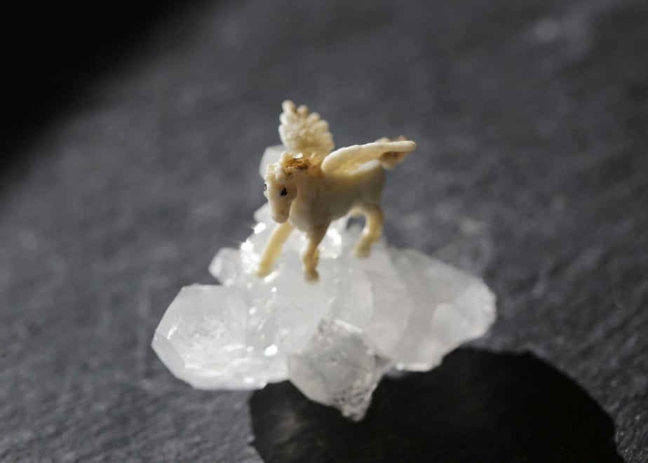 63ab466791260a56fd55af72