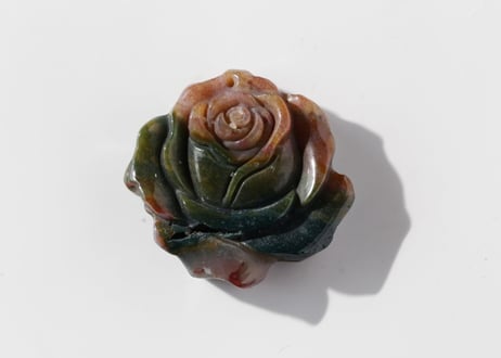 【ベルサイユ】オーシャンジャスパーの花