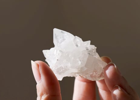 仙姿玉質 スタッフコラム ｜ Z/X - Zillions of enemy X - ゼクス公式サイト