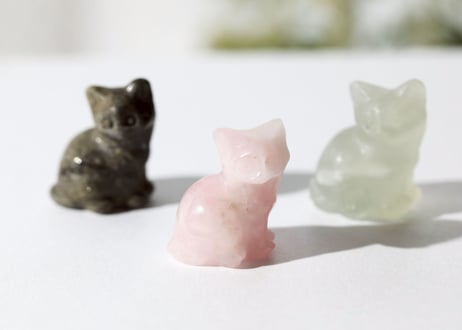 【魂のコミュニティ】ねこ3姉妹セット