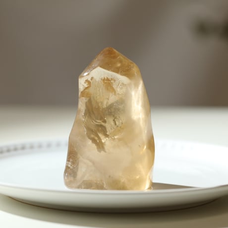 STORES アメジストの検索結果