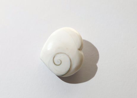 大技封入❣️【虚空蔵菩薩から智慧を授かる】オペルキュラムシェル ハート ※イベントクーポン使用不可