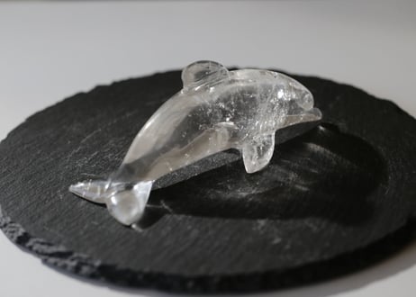 ミナスジェライス州産 虹入りクリアクォーツ イルカ【高次元へ】