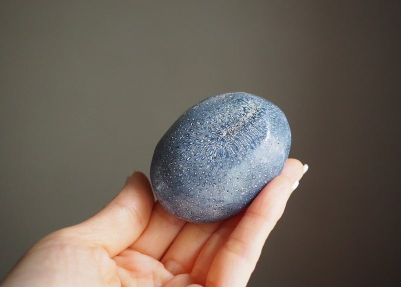 生きる力】ブルーフォッシルコーラルの握り石 | Y.S.Y24