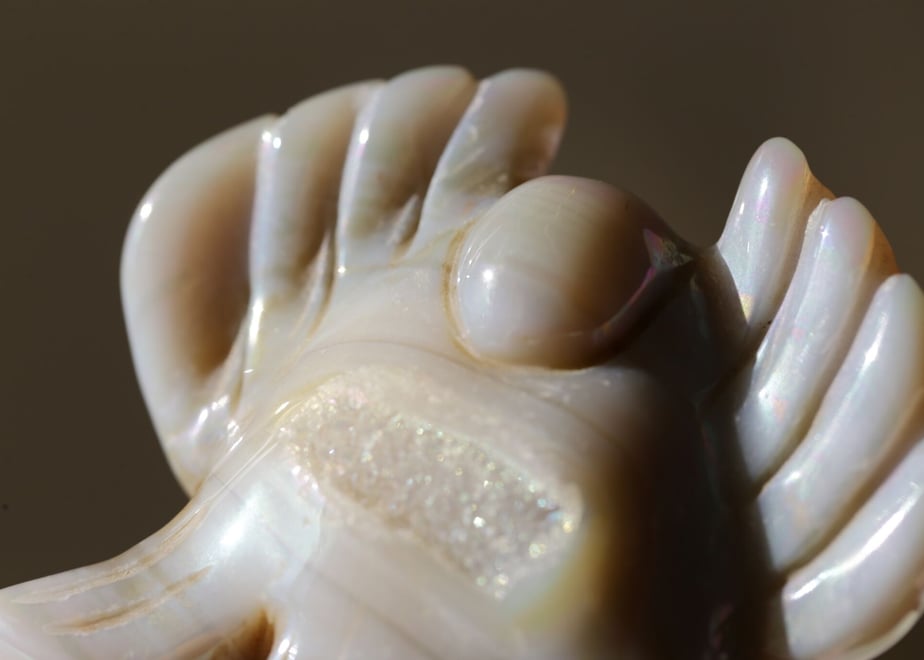 63ab39affd38c949630b68e6