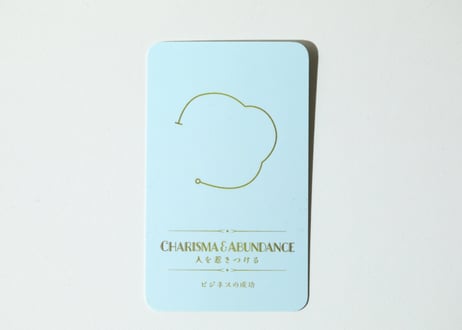 【CHARISMA&ABUNDANCE 人を惹きつける（ビジネスの成功）シジル彫刻 オリジナルカード＆シール付き❣️】 ルビーインフックサイト 握り石 ※イベントクーポン使用不可