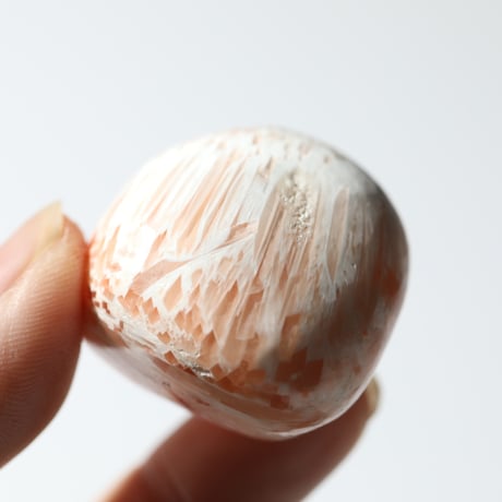 ピンクスコレサイト | STORES