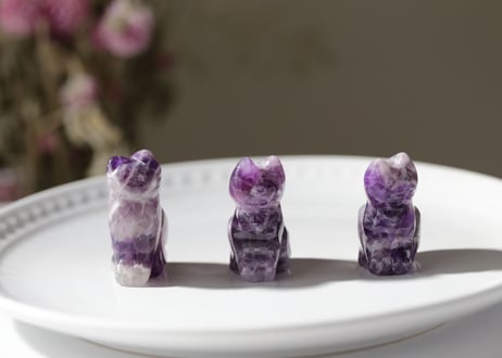 【魔法使いのおとも】アメジスト ねこ