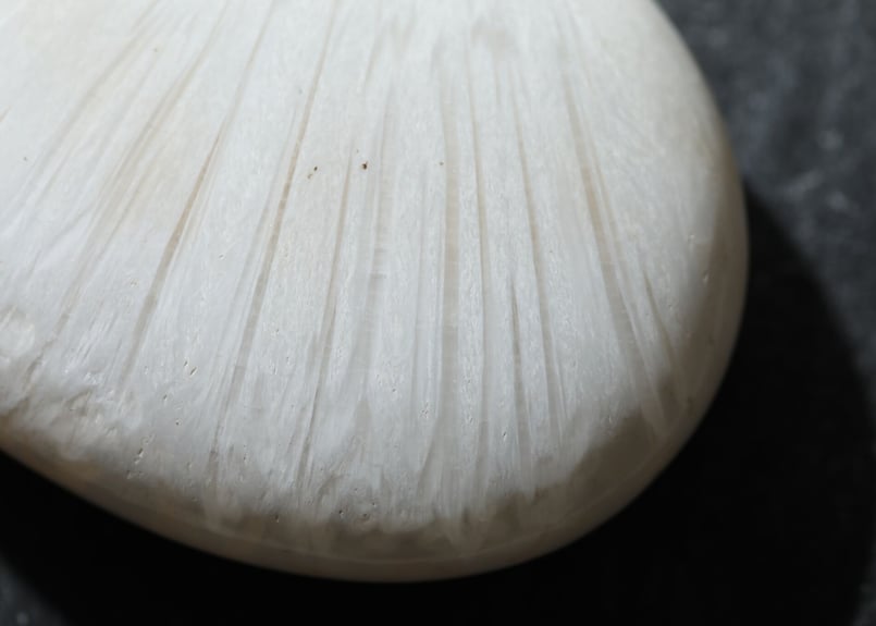 舞い降りた天使】スコレサイト 握り石 | Y.S.Y24