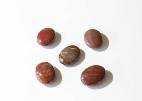 【見守る強さ】ペトリファイドウッド タンブル（1個）