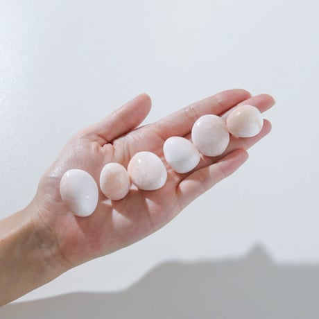 スコレサイト | STORES