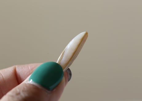 【美しい砂浜】マザーオブパール（40g）