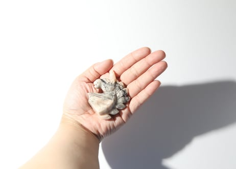 【デザインを楽しむ】クレイジーレースアゲート ユニコーン