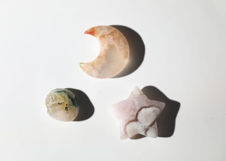 【草花のような人】だいすきチェリーブロッサムセット