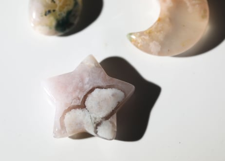 【草花のような人】だいすきチェリーブロッサムセット