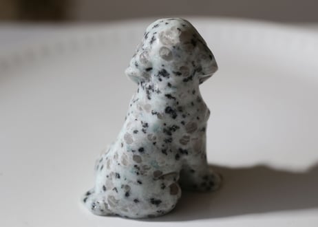 【寄り添う】キウイジャスパーの犬