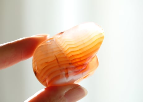 【陰陽統合】サードニクス スカル