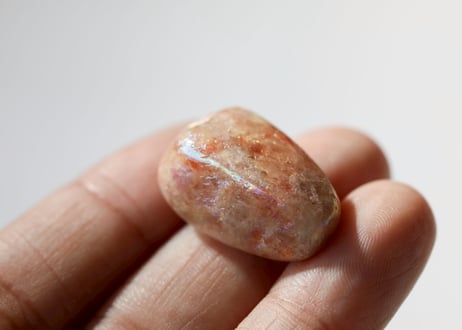 鑑賞石５点 P1011267_6cfa4866-eb54-4091-