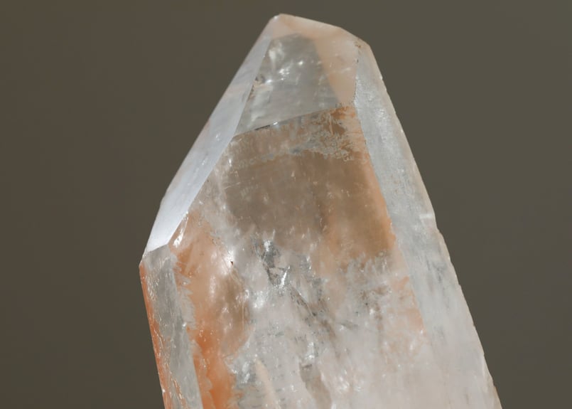 行きたい世界に行ける技入り】ミナスジェライス州産 タンジェリン