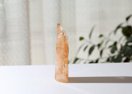 葉月ゆうによる技封入❣️【7億円のヒーリングエネルギー】ゴールデンヒーラー ポイント ※イベントクーポン使用不可
