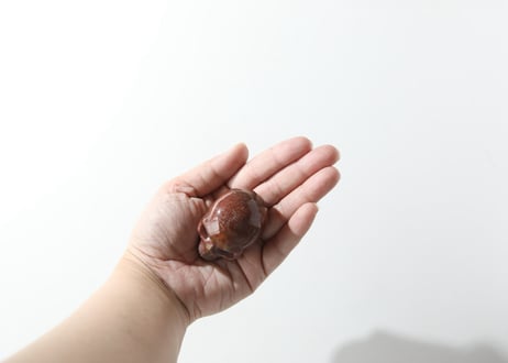 エドワード淺井さんによる技入り❣️【大開運】オーシャンジャスパー スカル ※イベントクーポン使用不可