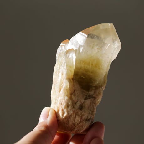 STORES アメジストの検索結果