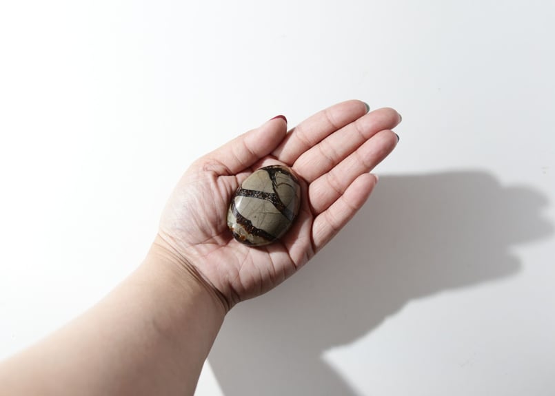 万能さ】セプタリアン 握り石 | Y.S.Y24