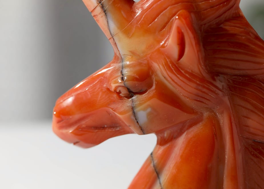 694557d19a7b216afb779e8d