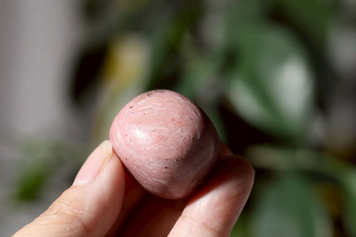 成長を見守る】ピンクペトリファイドウッド タンブル | Y.S.Y24