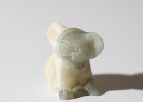 【大きな転換期】バンデッドカルサイト コアラ