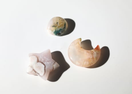 【草花のような人】だいすきチェリーブロッサムセット