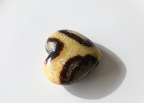 【懐かしさ】セプタリアン ハート