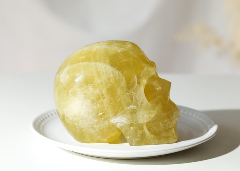 【天然石】 ハイクオリティナチュラルシトリンスカル 美しい世界を創造する】シトリン スカル | Y.S.Y24