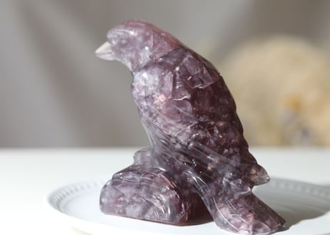 【魔法の鳥】虹入り アメジスト カラス