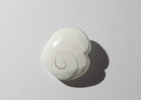 大技封入❣️【虚空蔵菩薩から智慧を授かる】オペルキュラムシェル ハート ※イベントクーポン使用不可