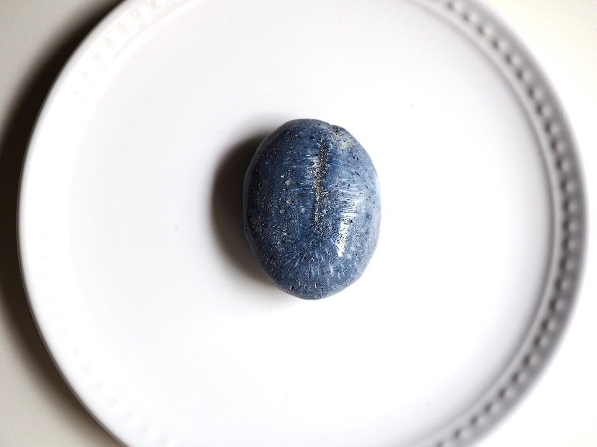 生きる力】ブルーフォッシルコーラルの握り石 | Y.S.Y24