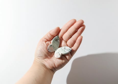 【人気者になる】ユニコーンジャスパー 蝶