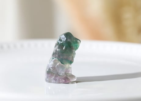 【カルマ解放のシッティ入り】フローライト ライオン