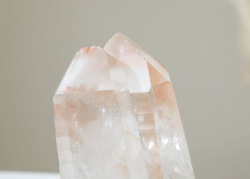 行きたい世界に行ける技入り】ミナスジェライス州産 タンジェリン