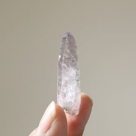 ベラクルスアメジスト | STORES