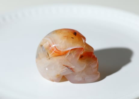【陰陽統合】サードニクス スカル