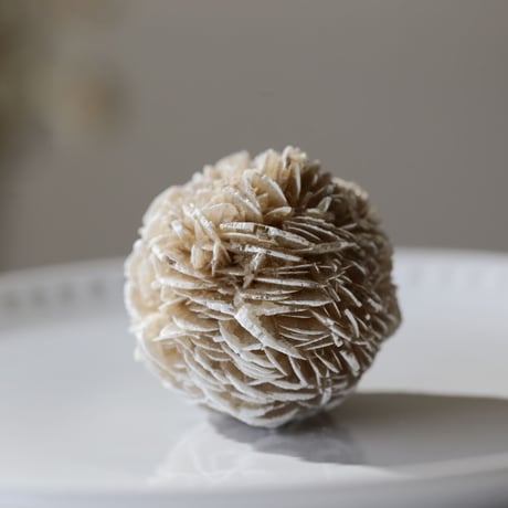 デザートローズ | STORES